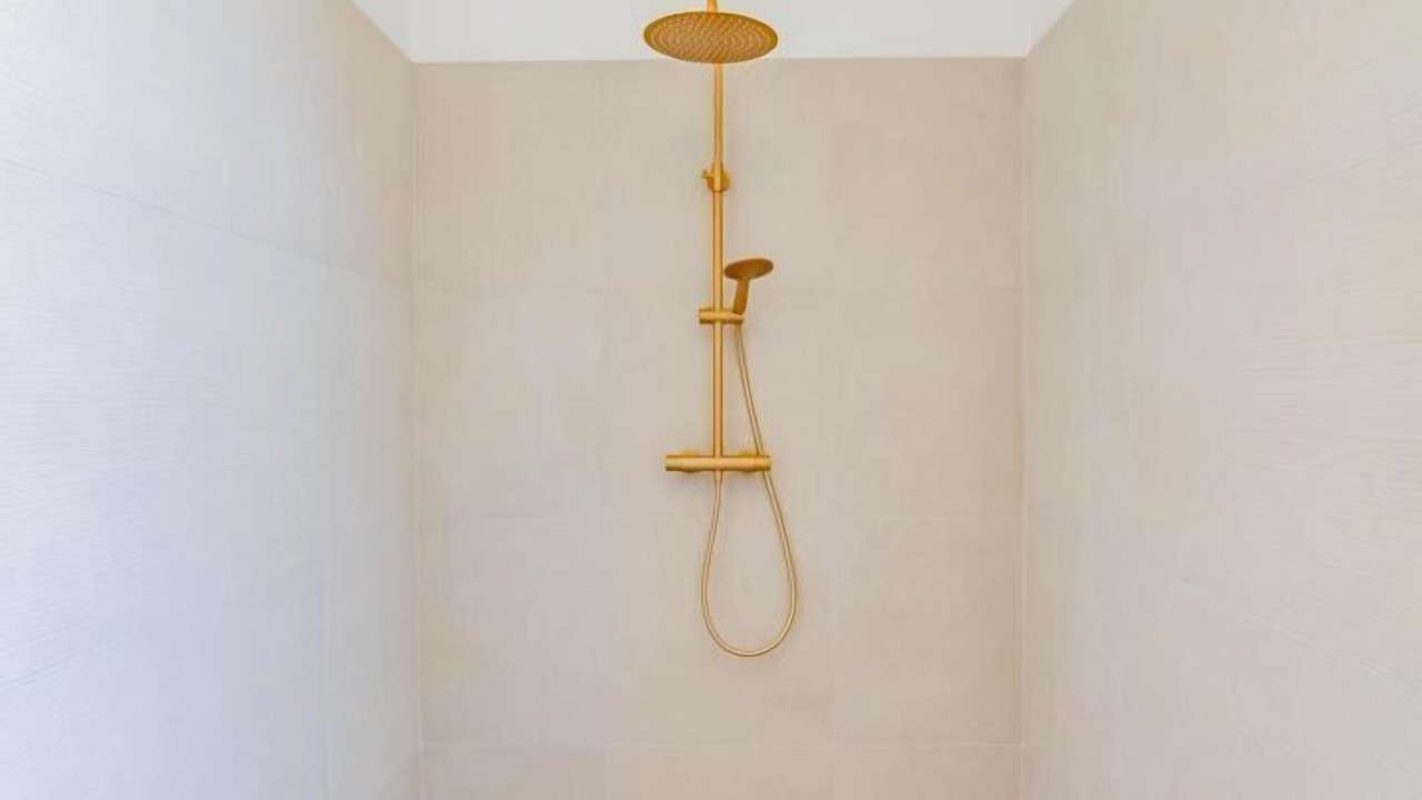 Photo of Bathroom in Saint-Martin-en-Bresse