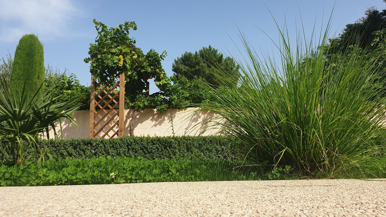 Photo of Outdoor in Saint-Paul-Trois-Chateaux