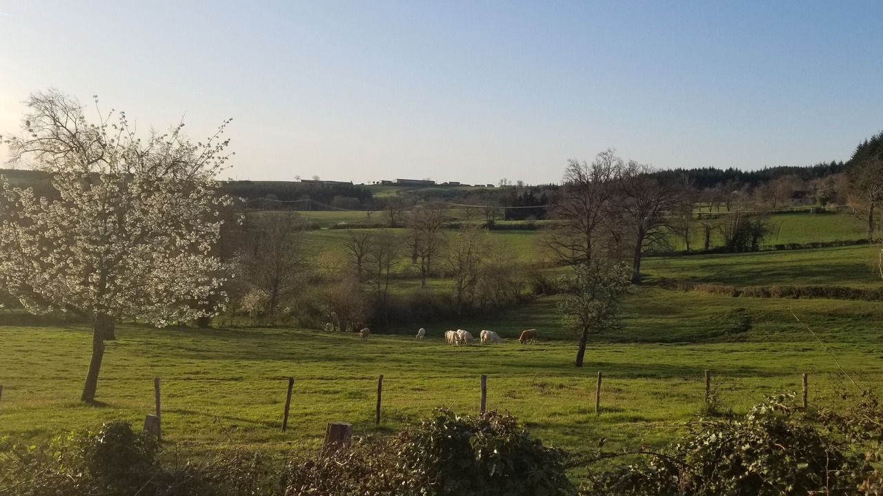 Photo of Outdoor in Loddes