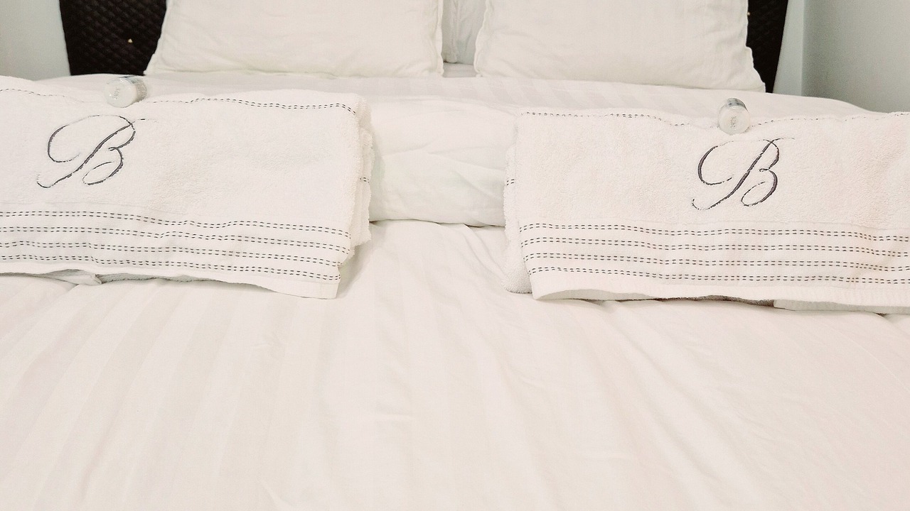 Photo of Bedroom in Epervans