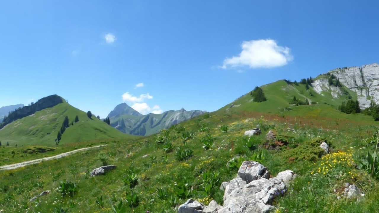 Photo of Others in Le Chatelard