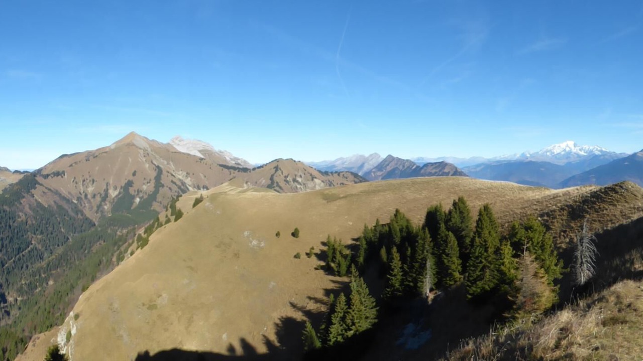 Photo of Others in Le Chatelard