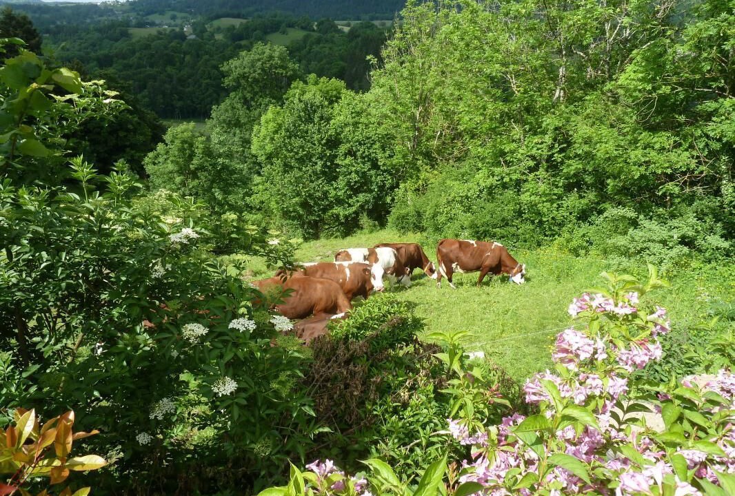 Photo of Others in Le Chatelard