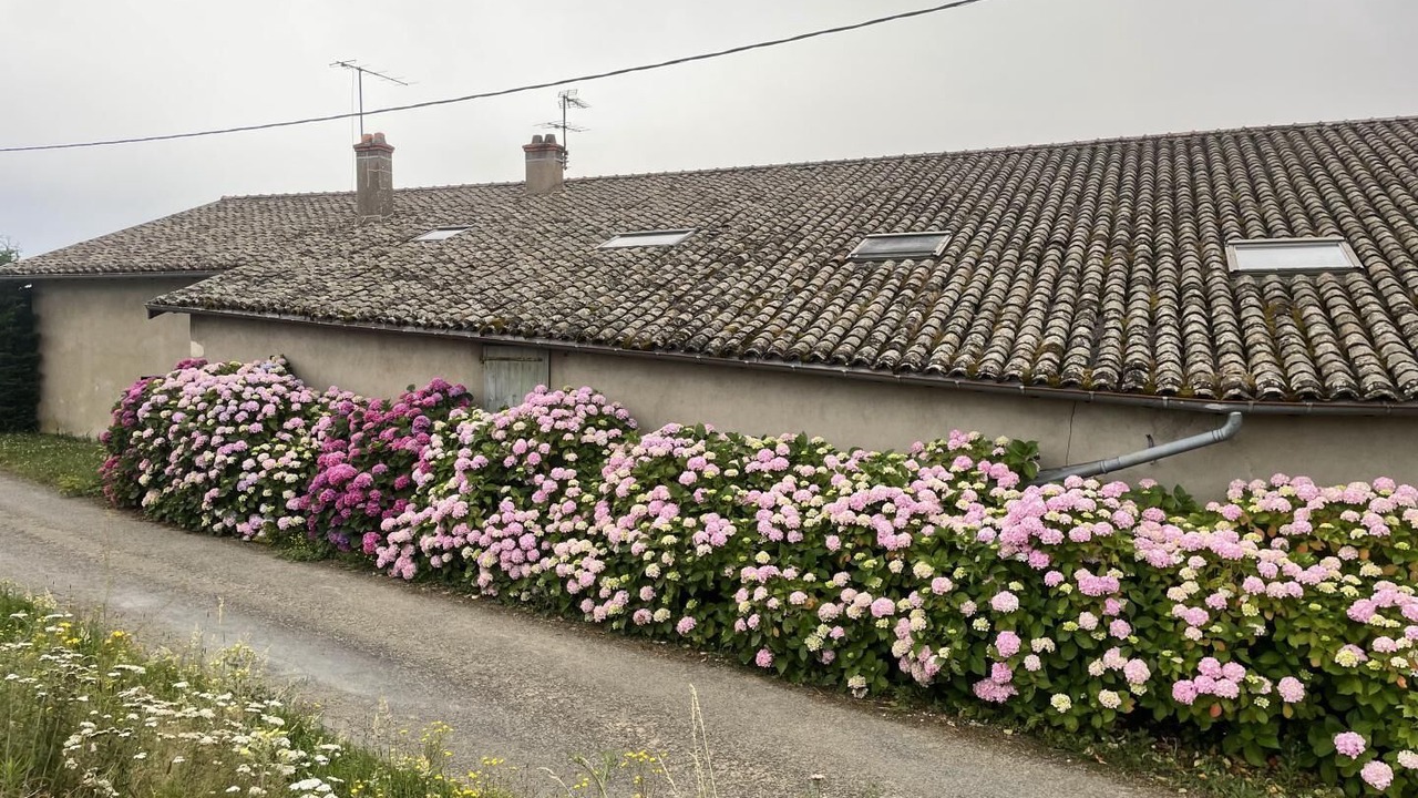 Photo of Outdoor in Regnie-Durette