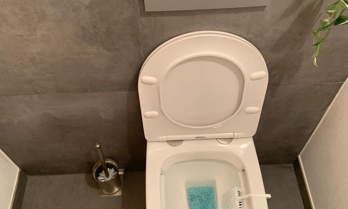 Photo of Bathroom in Druyes-les-Belles-Fontaines