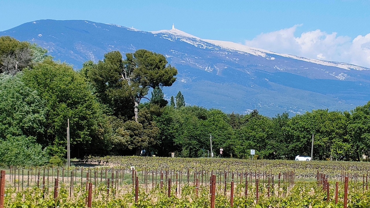 Photo of Outdoor in Caromb