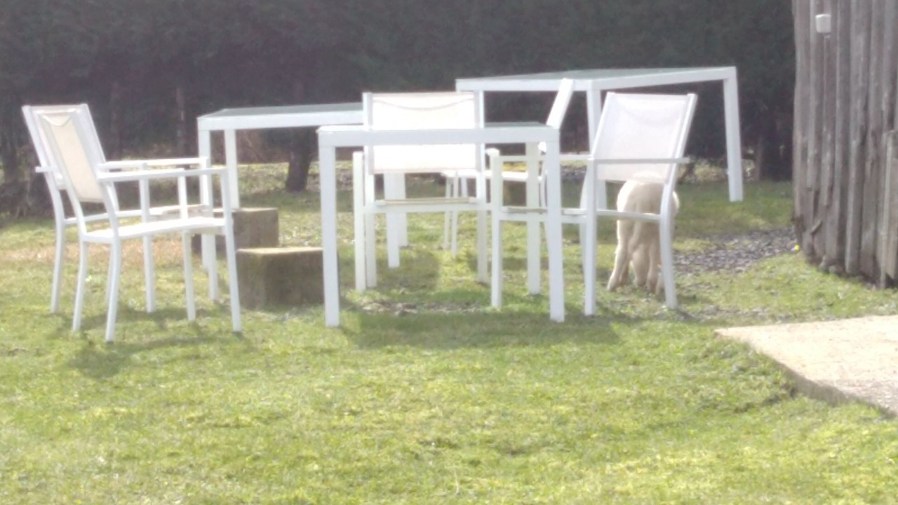 Photo of Outdoor in Champagnac