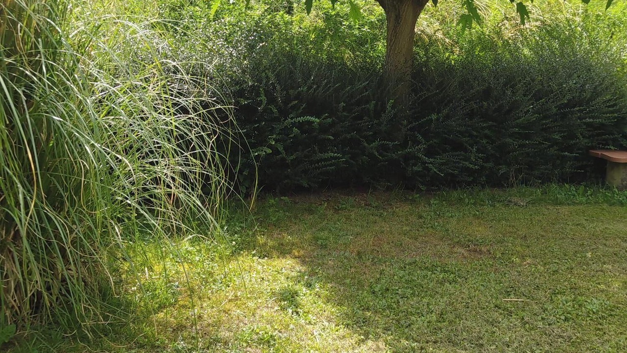 Photo of Outdoor in Parnans