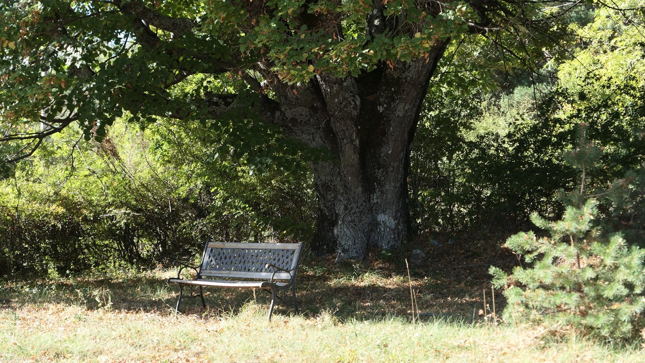 Photo of Others in Revest-du-Bion