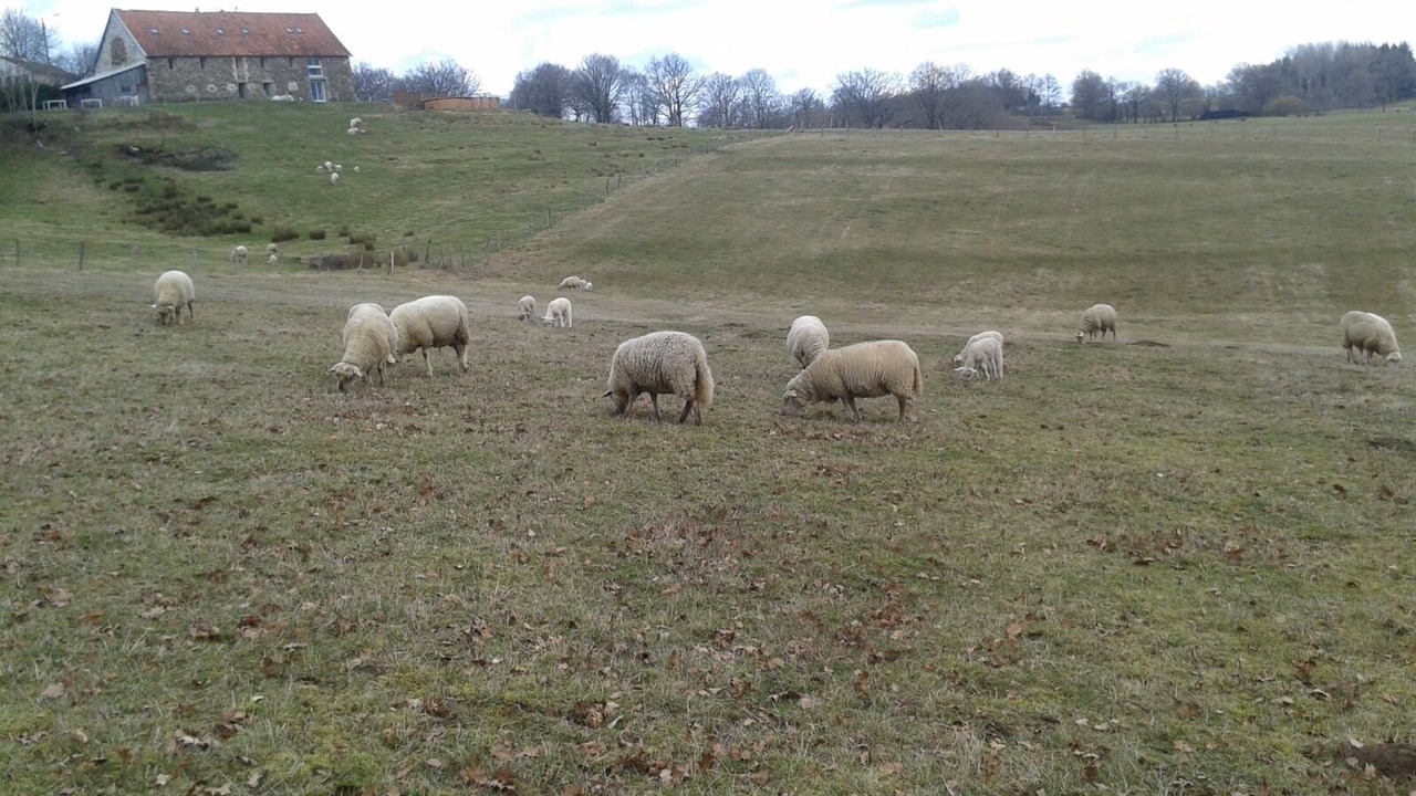 Photo of Outdoor in Champagnac