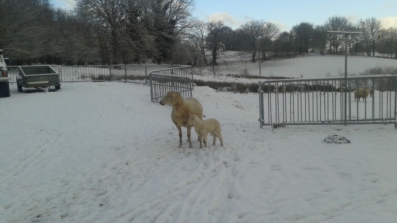 Photo of Outdoor in Champagnac
