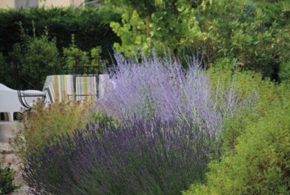 Photo of Outdoor in Le Barroux