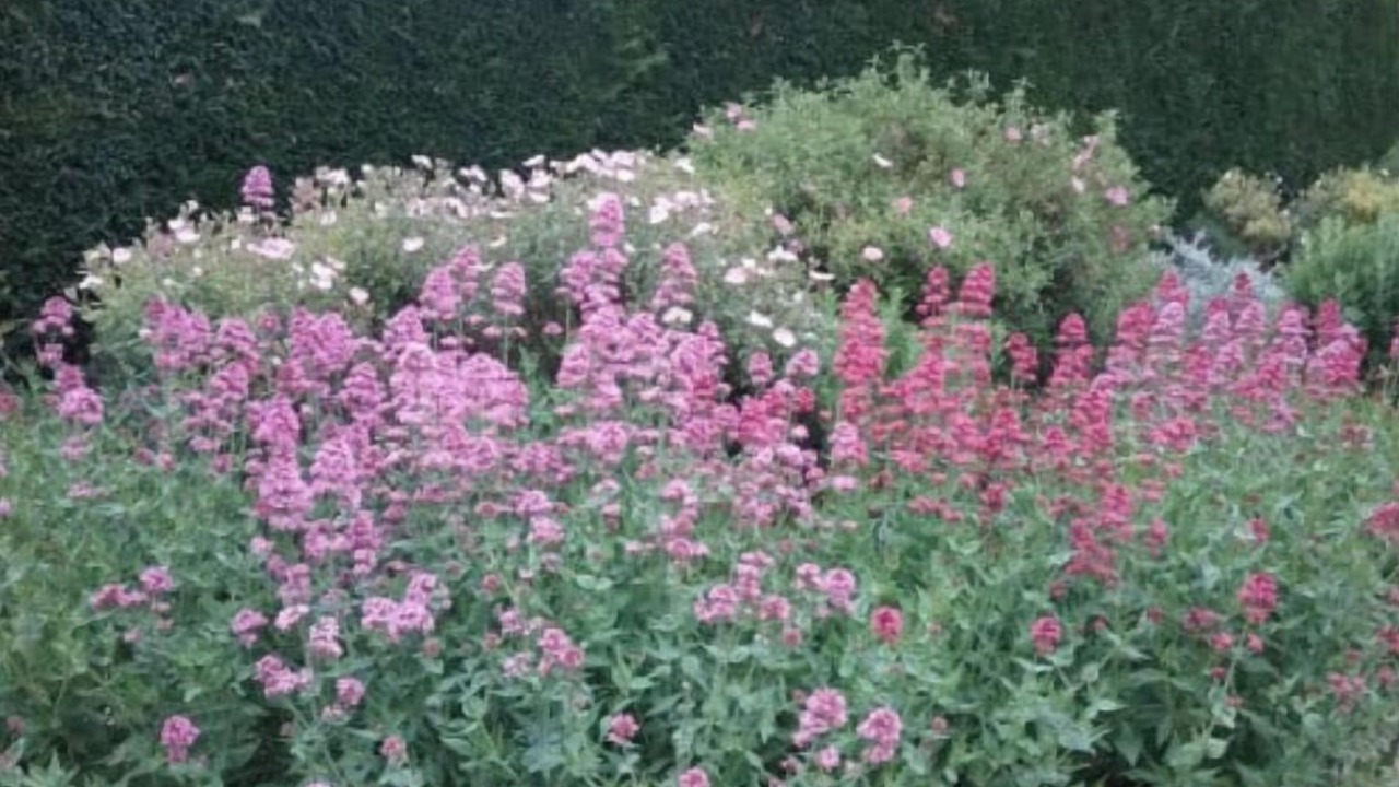 Photo of Outdoor in Le Barroux