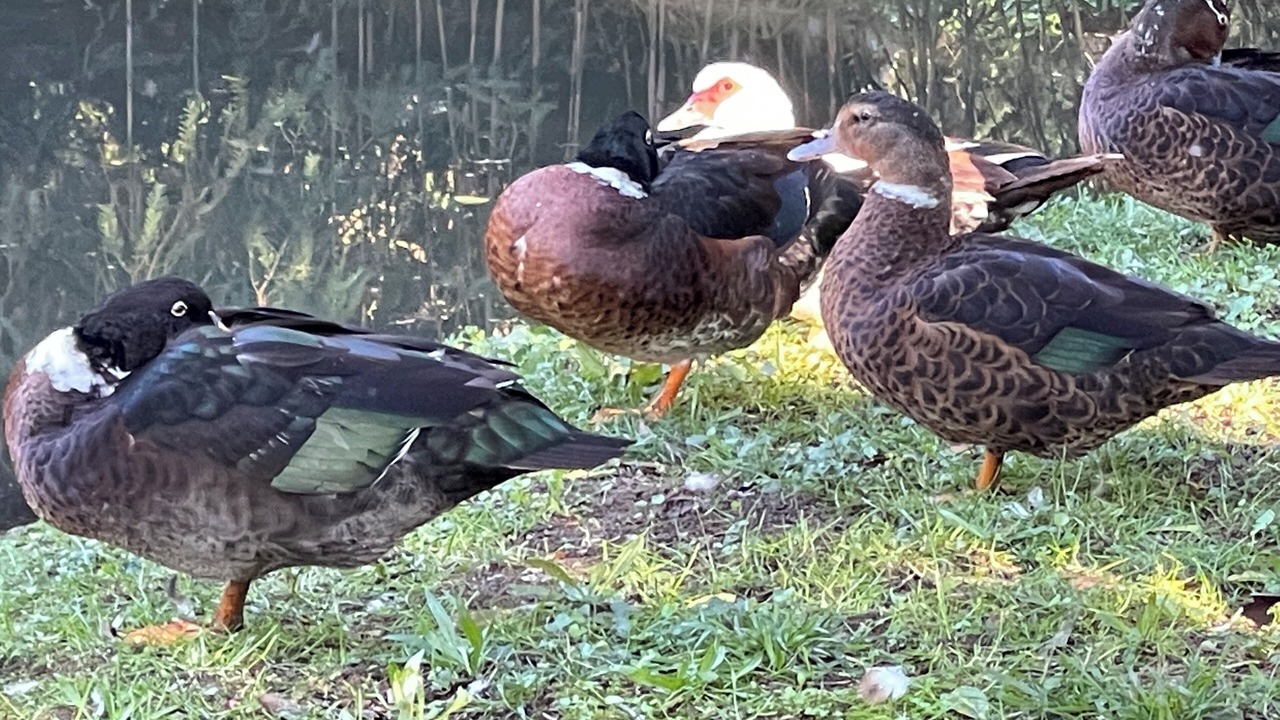 Photo of Others in Vals-les-Bains