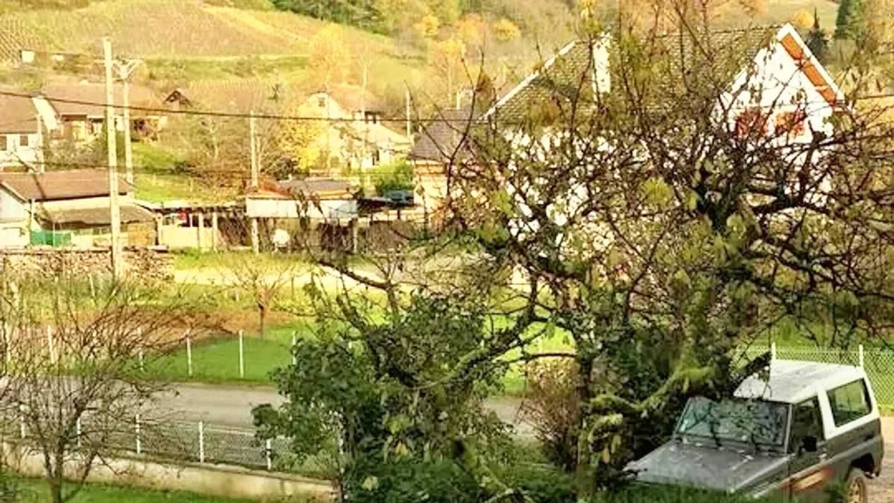 Photo of Others in Mesnay