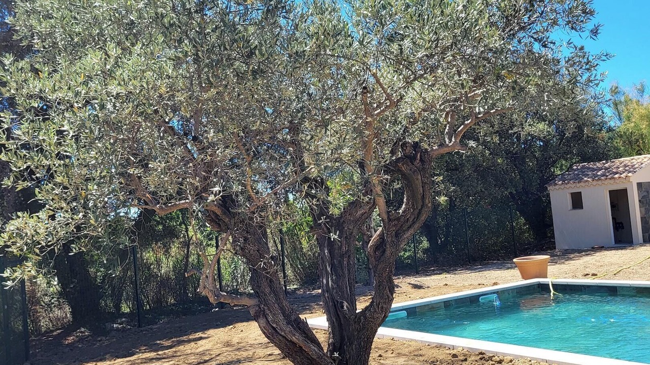 Photo of Outdoor in Aubignan