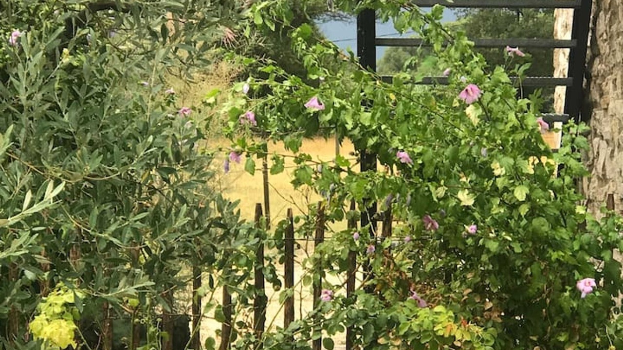 Photo of Outdoor in Valaurie
