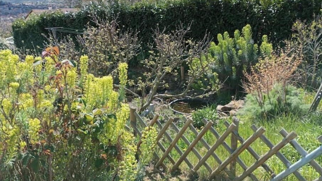 Photo of Outdoor in Billom