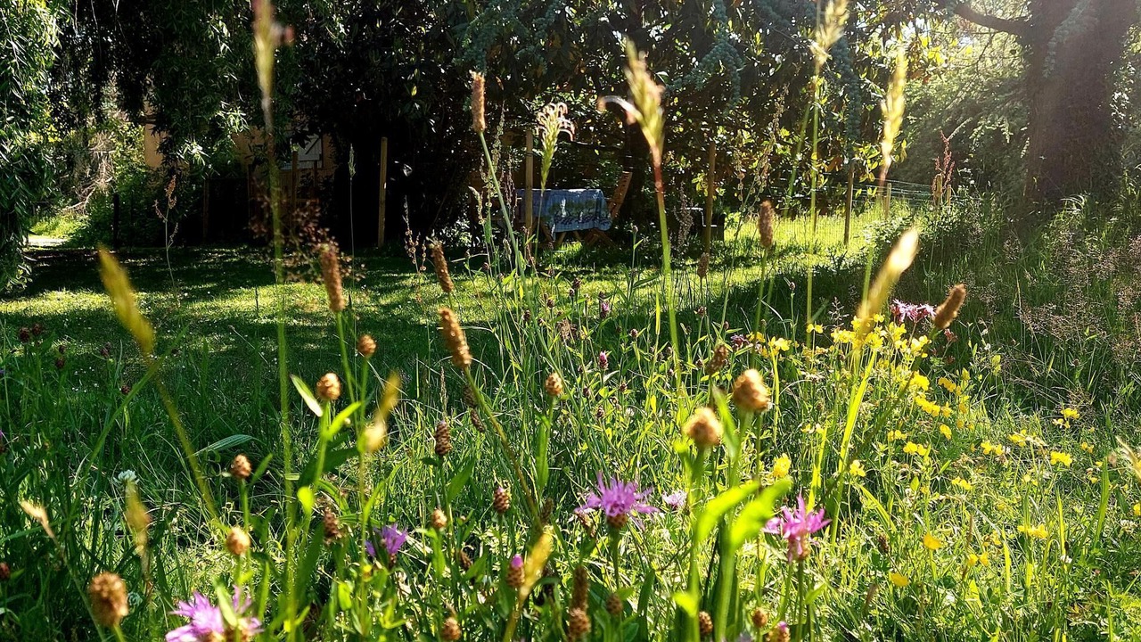 Photo of Outdoor in La Chapelle-Saint-Sauveur