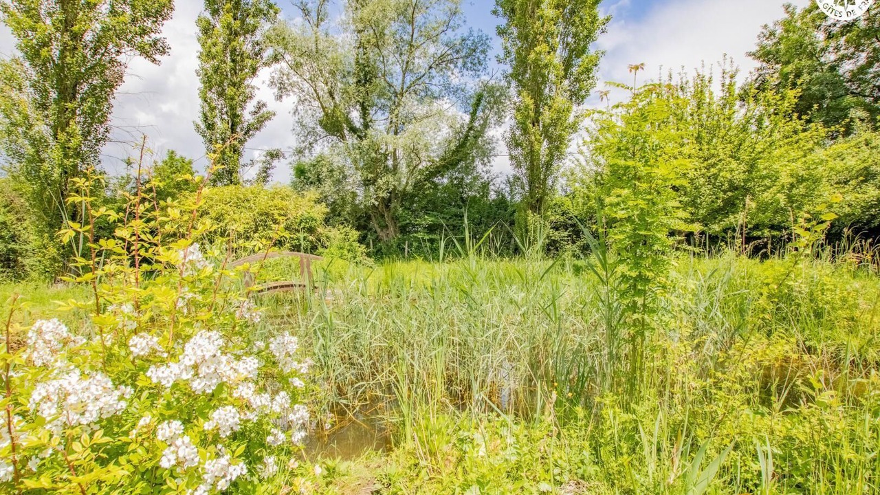Photo of Outdoor in La Chapelle-Saint-Sauveur