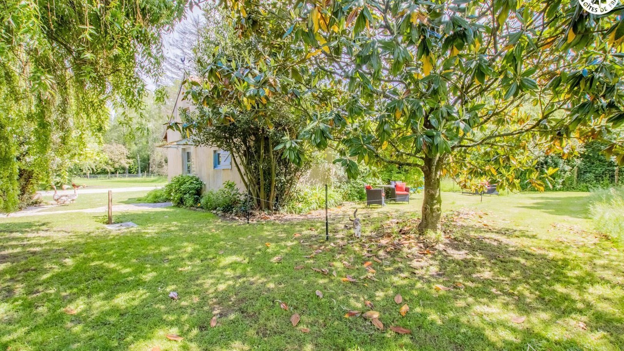 Photo of Outdoor in La Chapelle-Saint-Sauveur