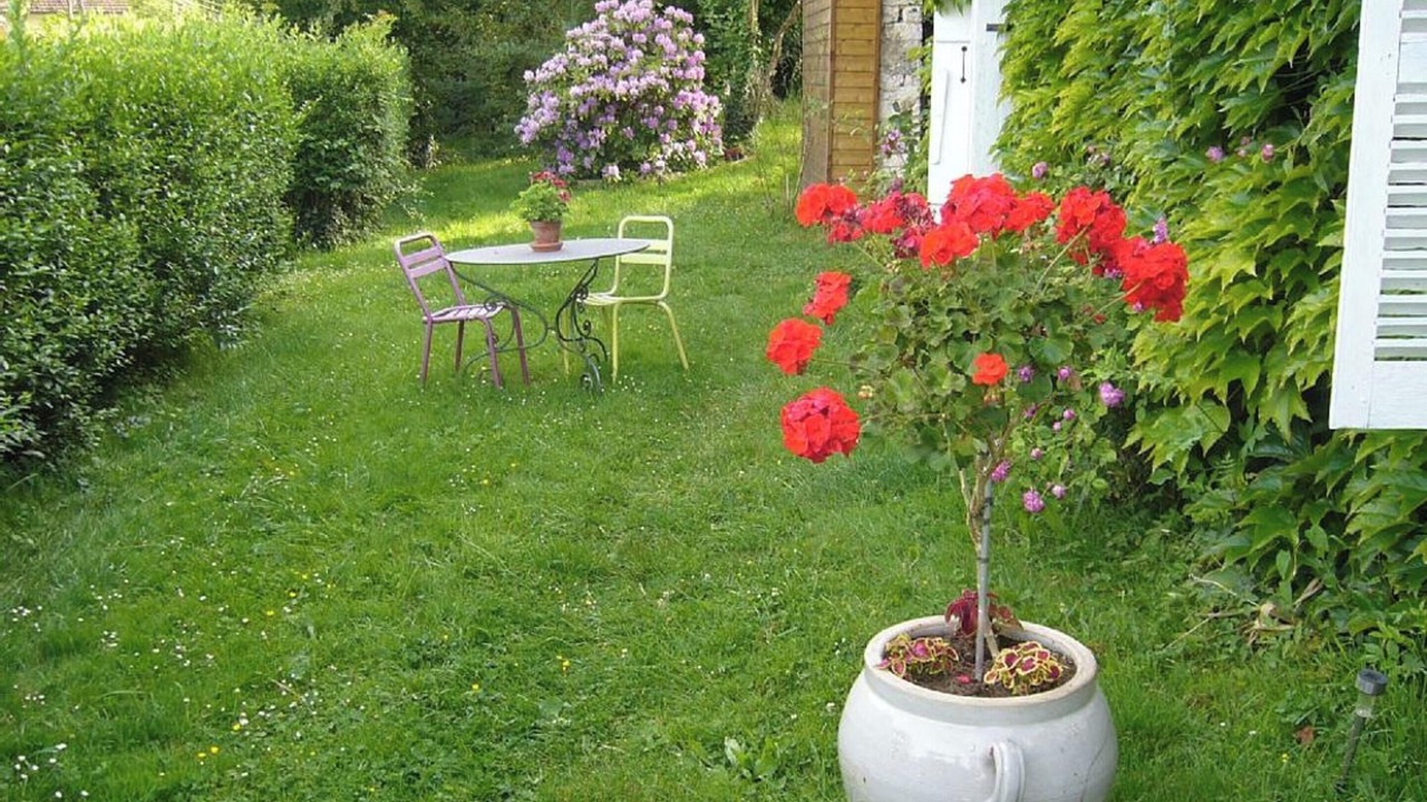 Photo of Outdoor in Plumont