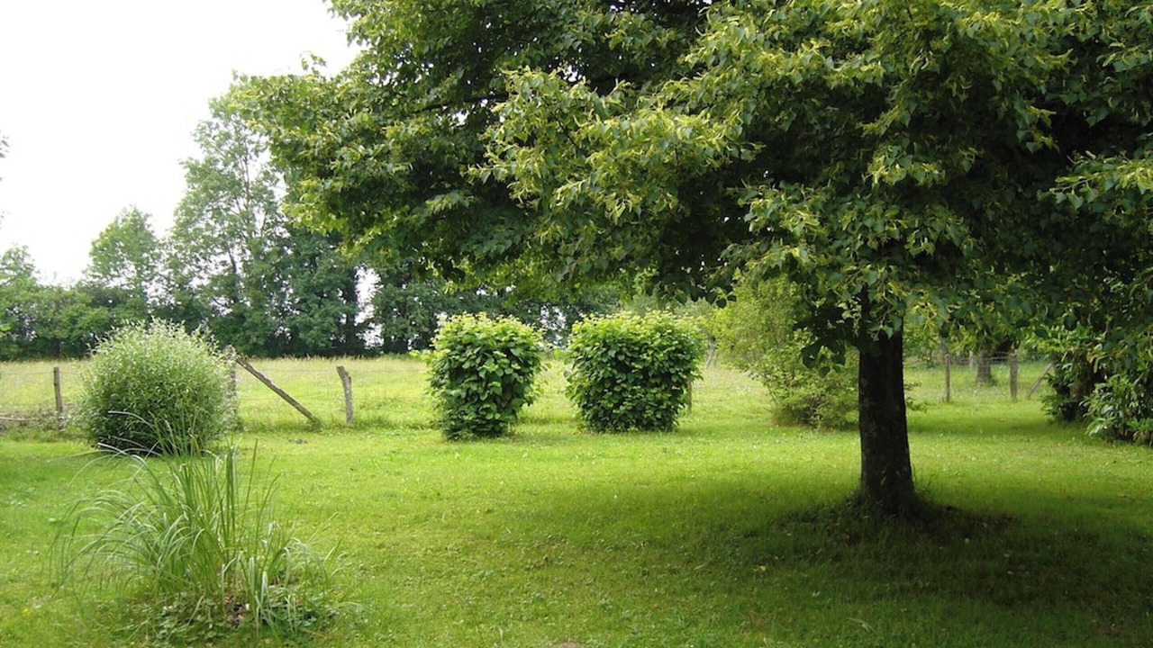 Photo of Outdoor in Plumont