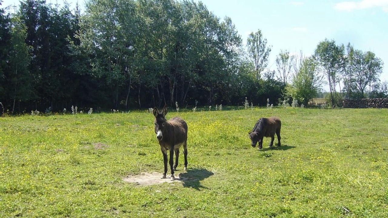 Photo of Others in Plumont