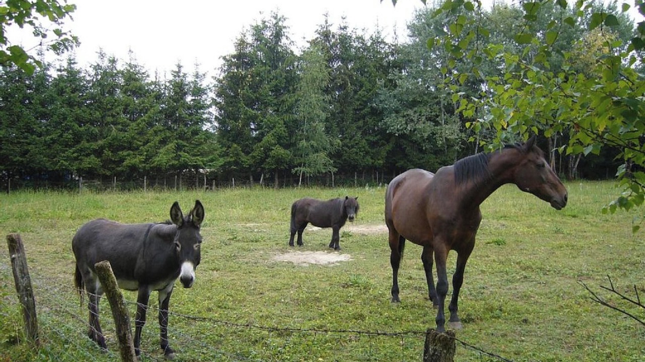 Photo of Others in Plumont