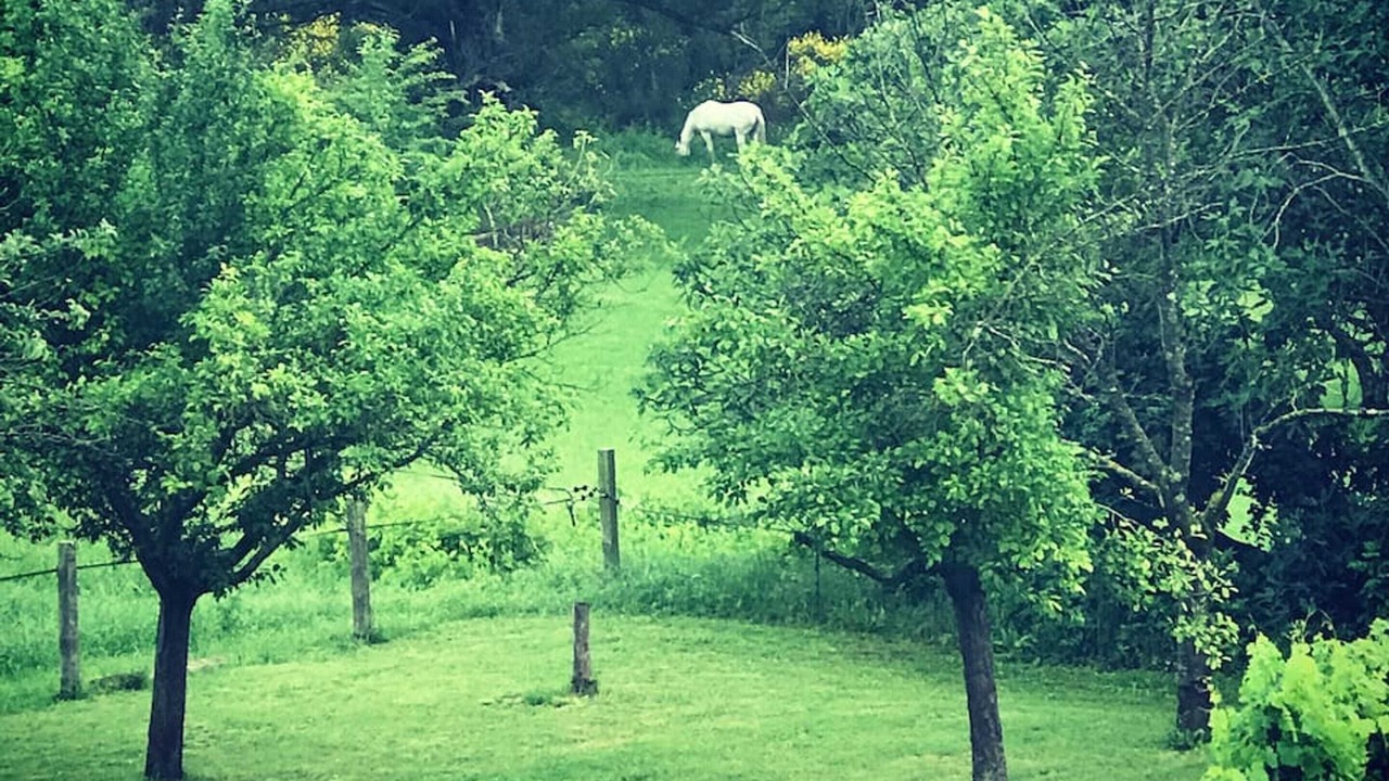 Photo of Outdoor in Valaurie