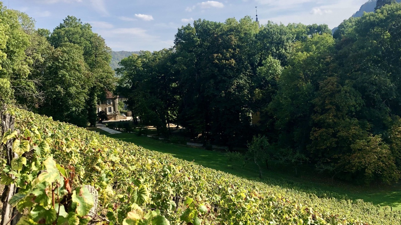 Photo of Others in Nevy-sur-Seille