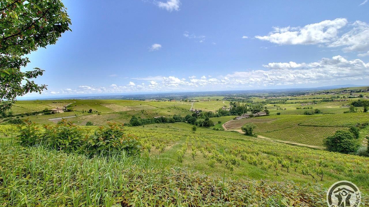 Photo of Outdoor in Chiroubles