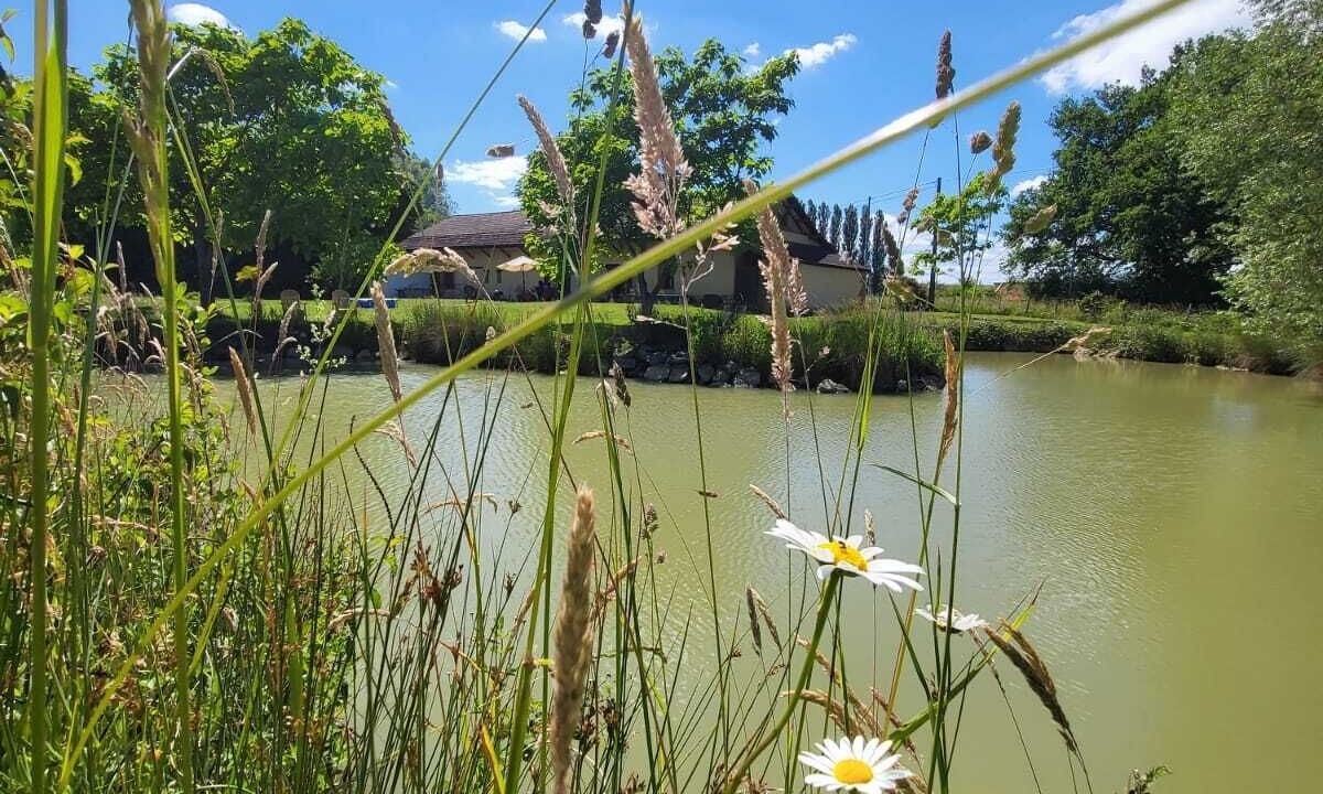 Photo of Outdoor in Montpont-en-Bresse