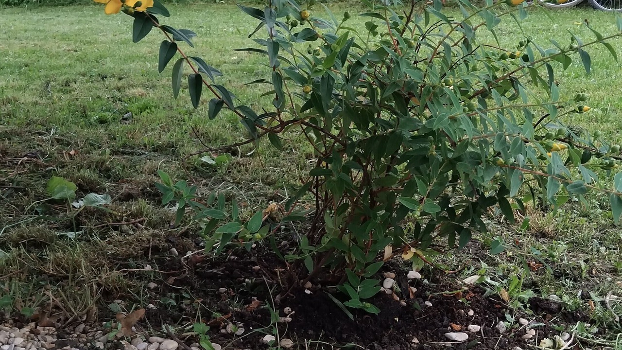 Photo of Outdoor in Groises