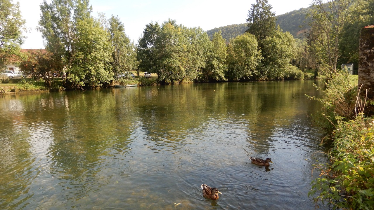 Photo of Others in Ornans