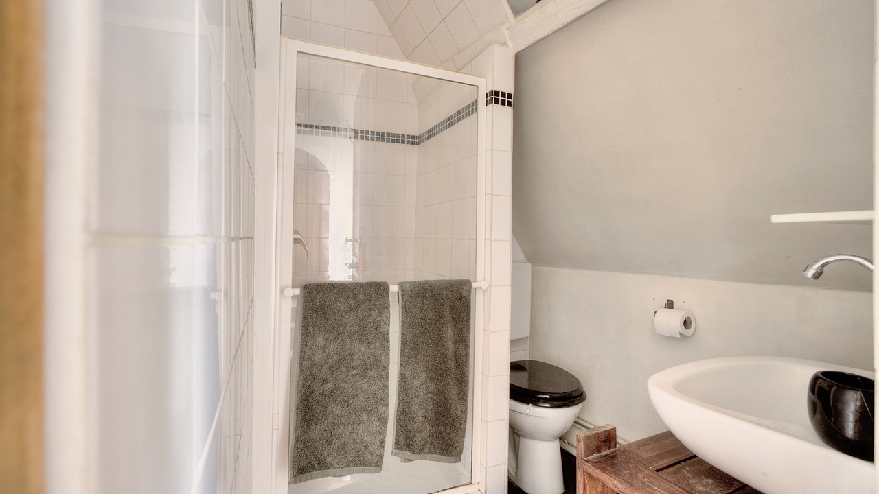 Photo of Bathroom in Joinville-le-Pont