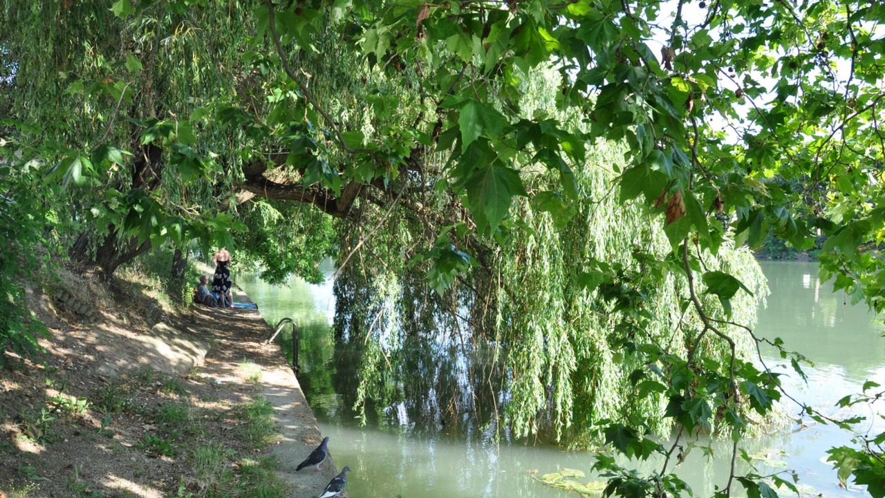 Photo of Outdoor in Joinville-le-Pont