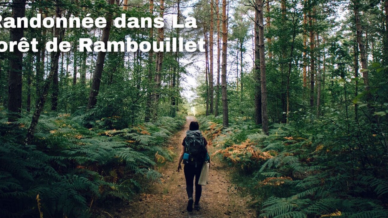 Photo of Others in Cernay-la-Ville