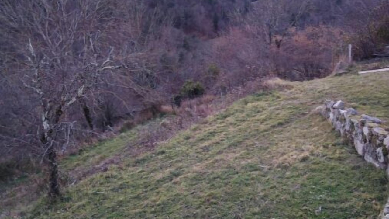 Photo of Others in Saint-Barthelemy-le-Meil