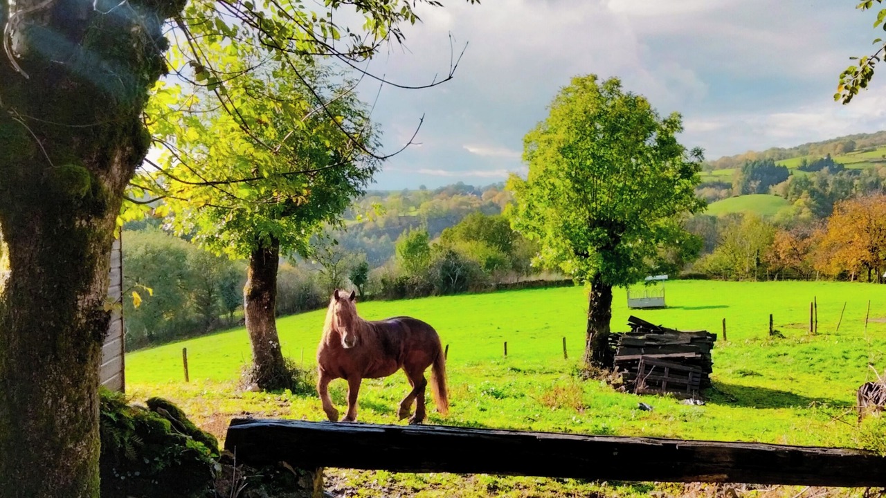 Photo of Others in Castelnau-de-Mandailles