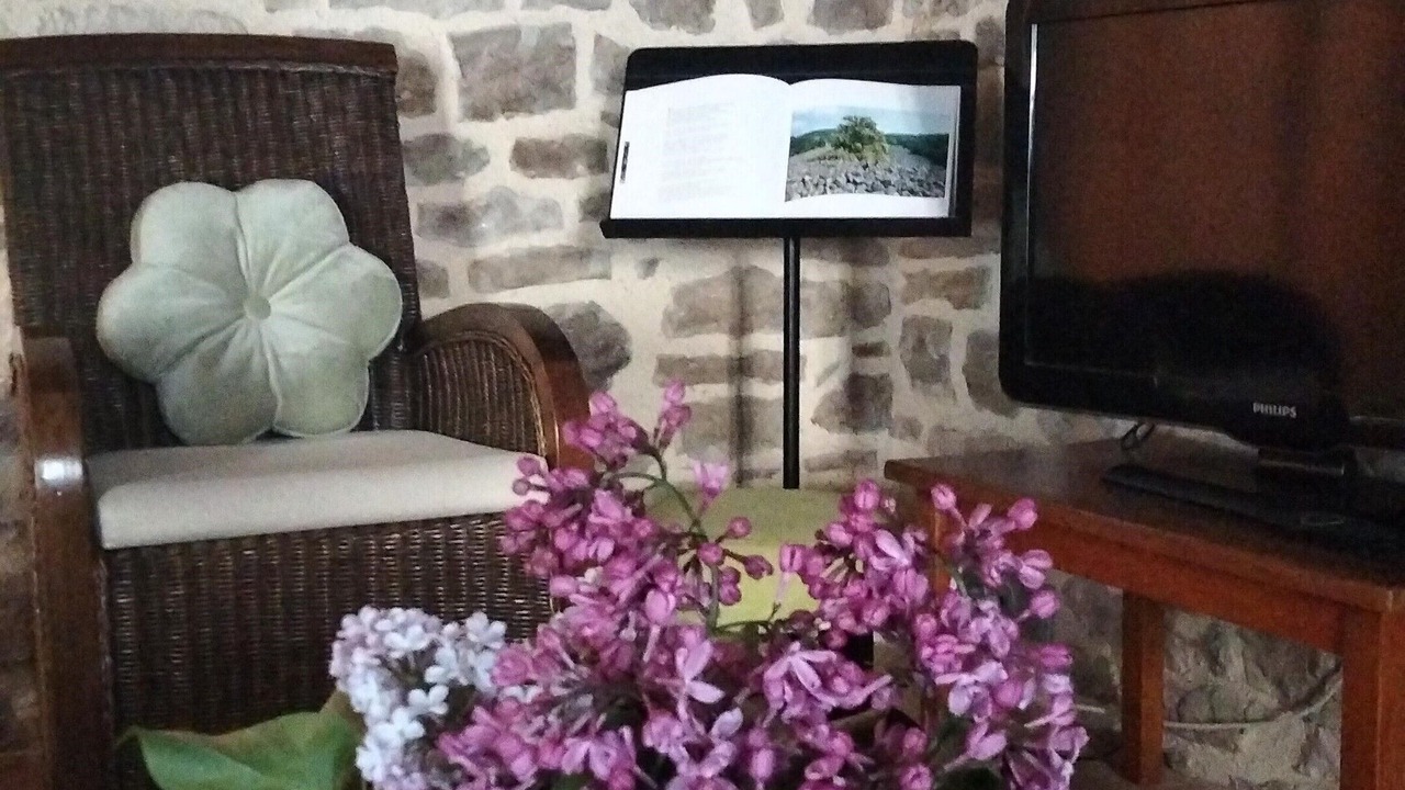 Photo of Others in Castelnau-de-Mandailles