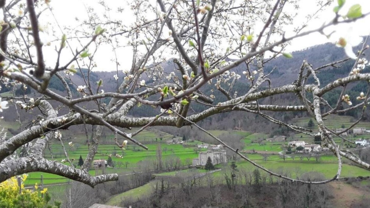 Photo of Outdoor in Accons