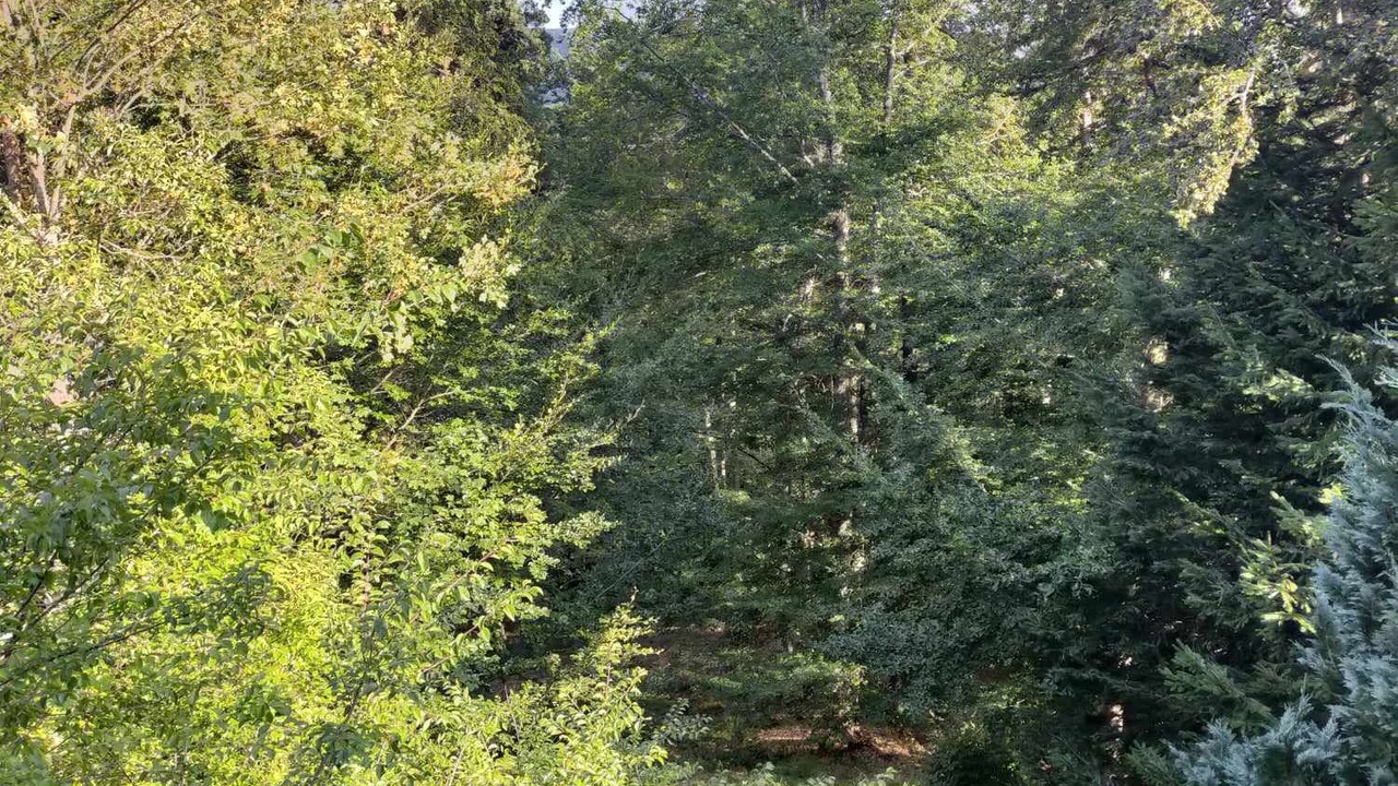 Photo of Outdoor in Saint-Antheme