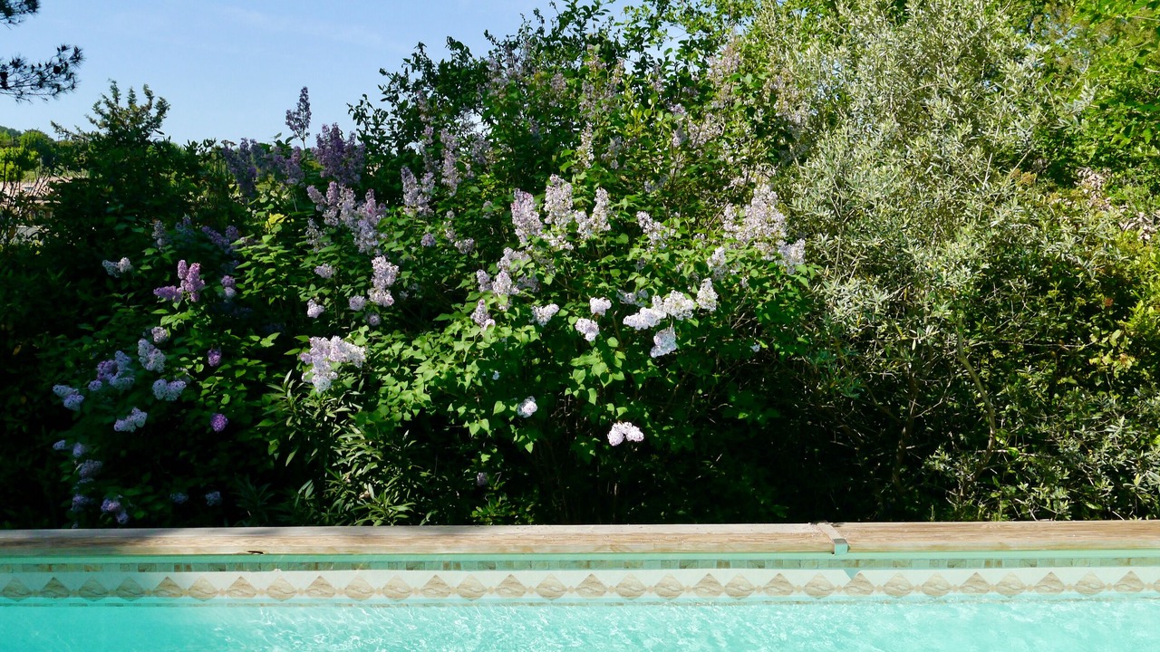 Photo of Outdoor in Buisson