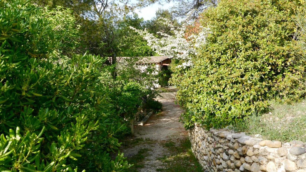 Photo of Outdoor in Buisson