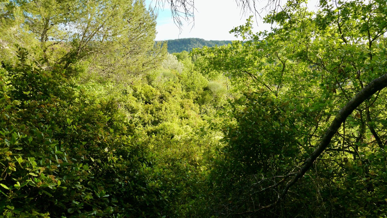 Photo of Others in Buisson