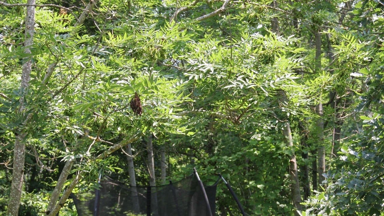 Photo of Outdoor in Albon-d'Ardeche