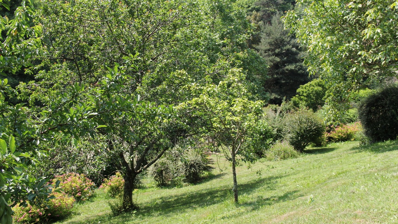 Photo of Outdoor in Albon-d'Ardeche