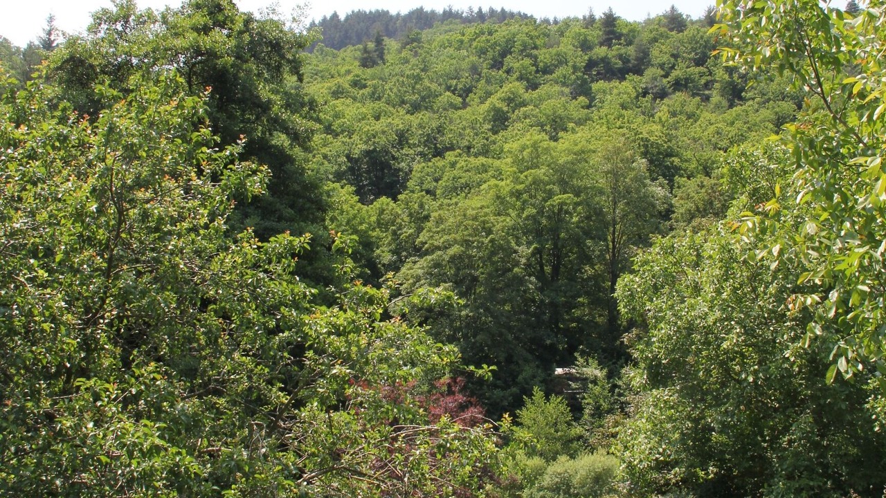 Photo of Outdoor in Albon-d'Ardeche