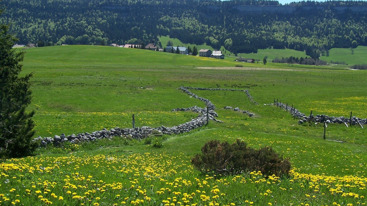 Photo of Others in Chapelle-des-Bois